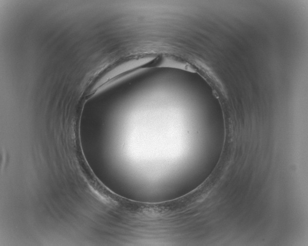 X0000078310489200611172218