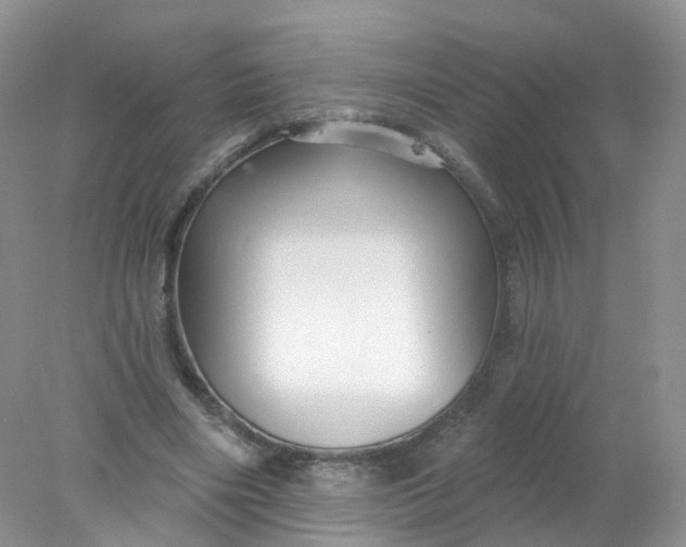 X0000078310490200611172218