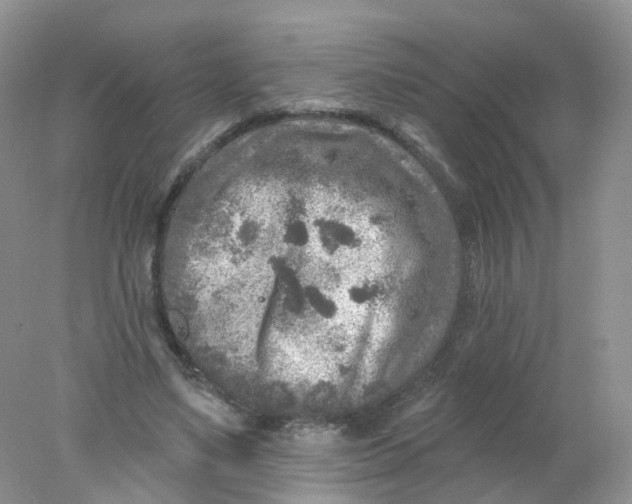 X0000078310491200611172218