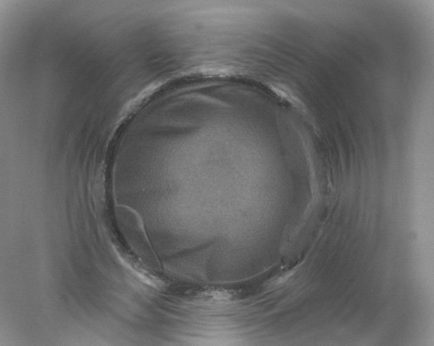 X0000078310492200611172218