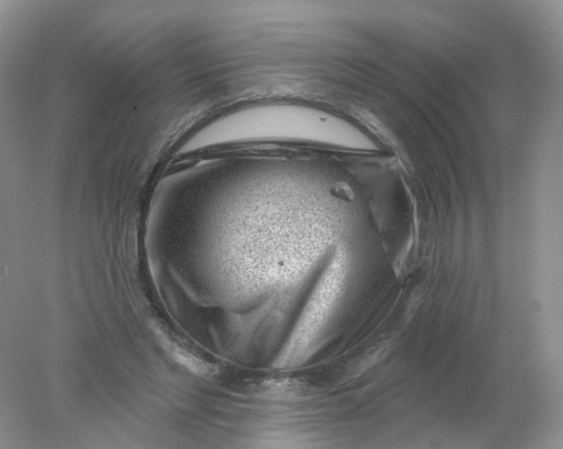 X0000078310493200611172218