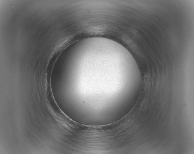 X0000078310494200611172218