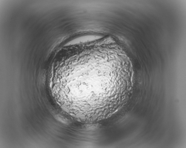 X0000078310495200611172218