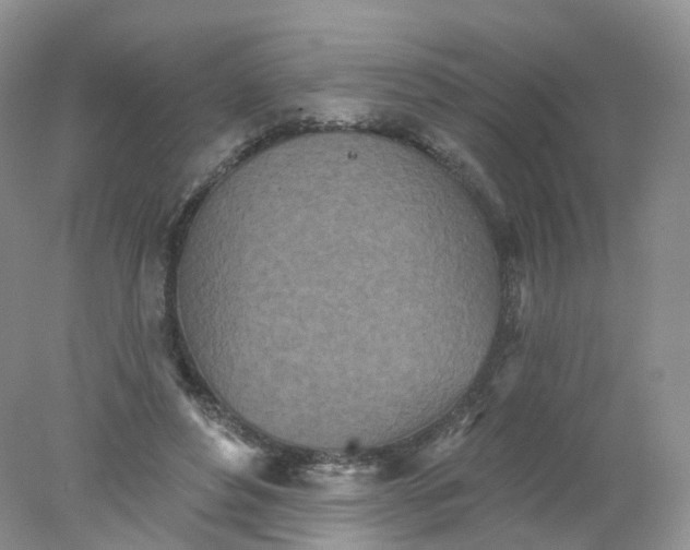 X0000078310496200611172218