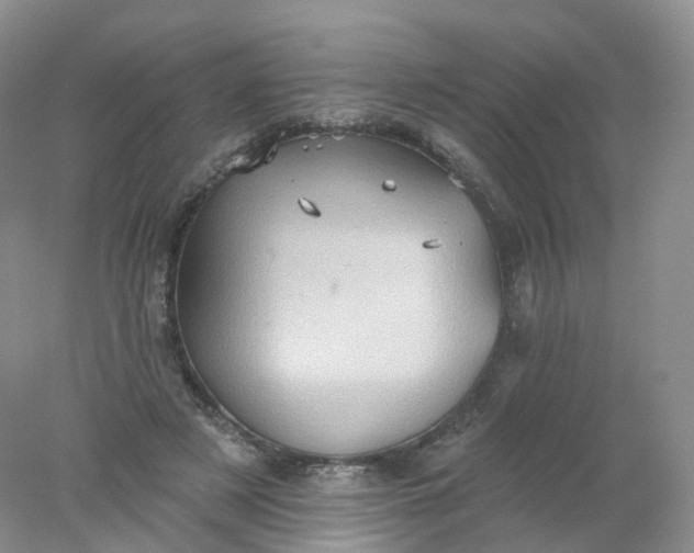 X0000078310497200611172218