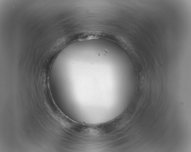 X0000078310498200611172218