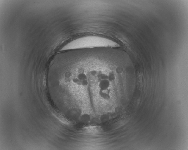 X0000078310499200611172218