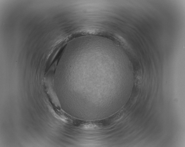 X0000078310500200611172218