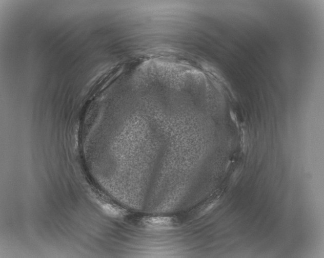 X0000078310501200611172218