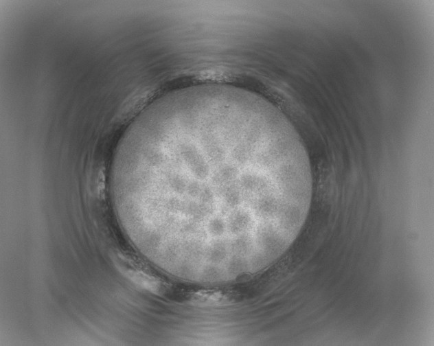 X0000078310502200611172218