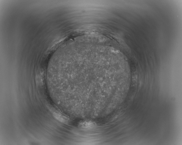 X0000078310503200611172218