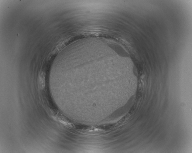 X0000078310504200611172218