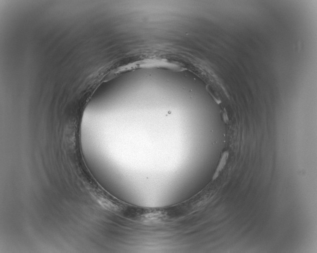 X0000078310505200611172218