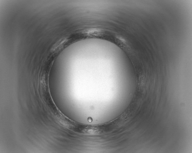 X0000078310506200611172218