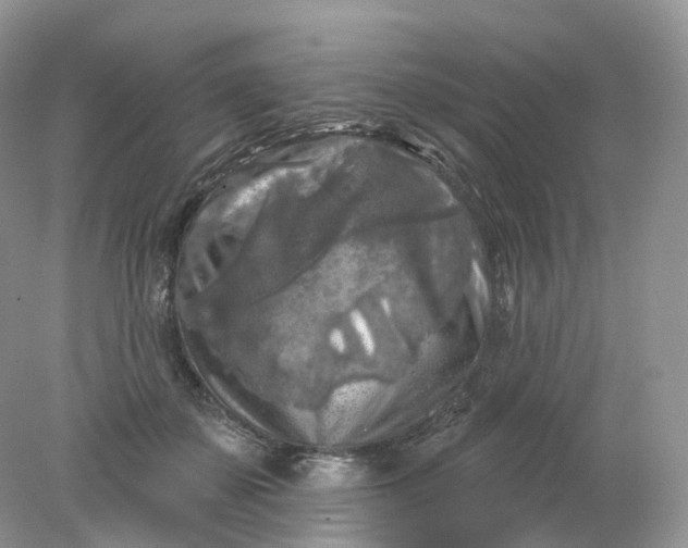 X0000078310507200611172218