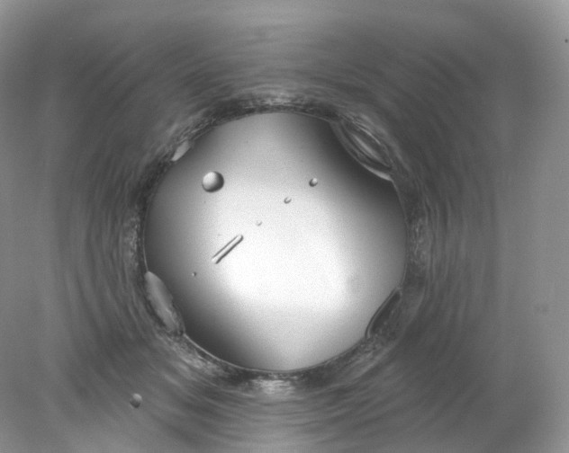 X0000078310509200611172218