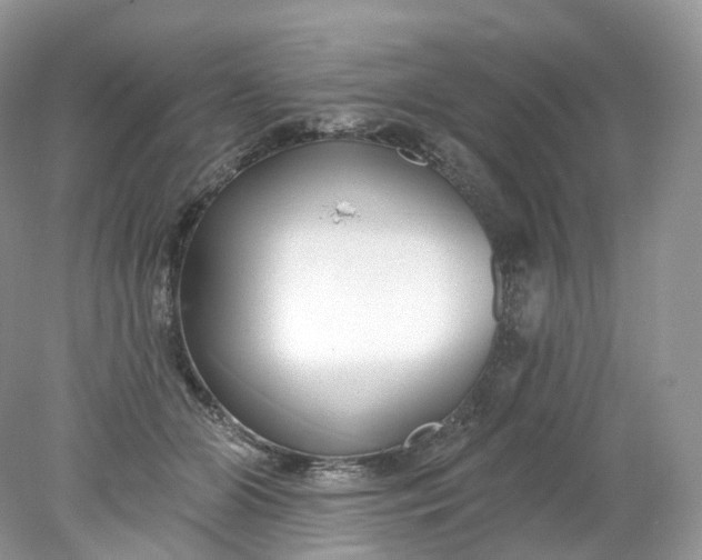 X0000078310510200611172218