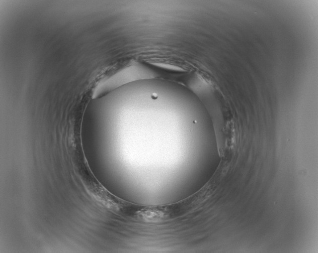 X0000078310512200611172218