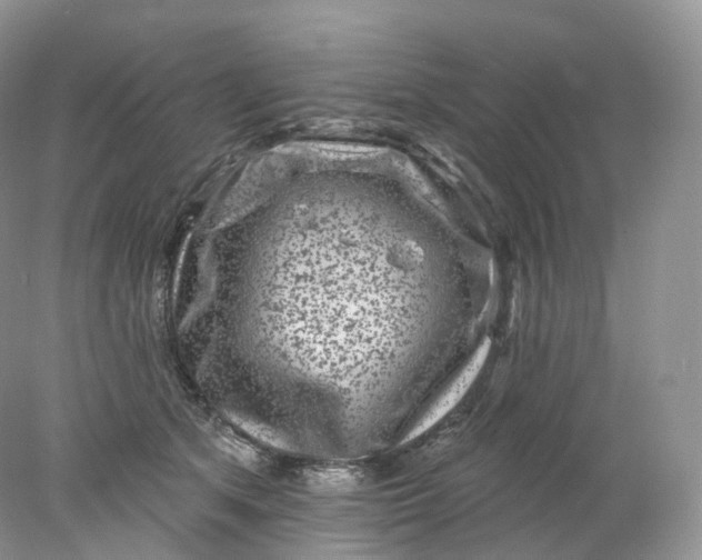 X0000078310513200611172218