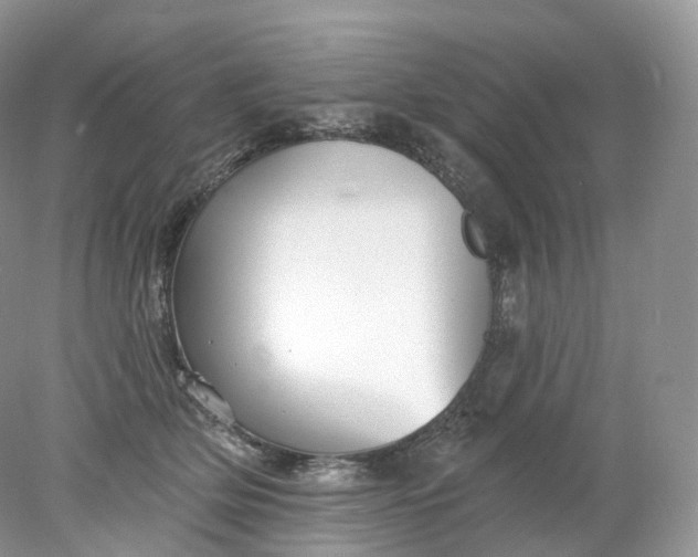 X0000078310514200611172218