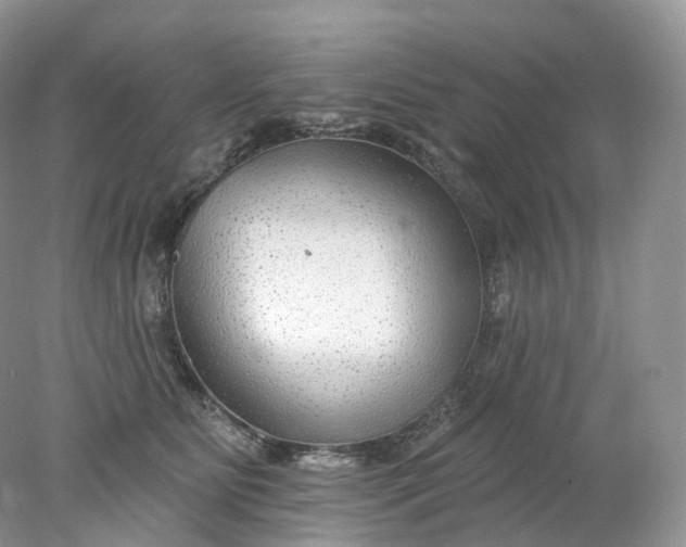 X0000078310515200611172218