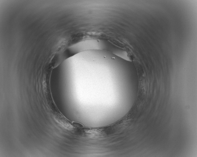 X0000078310516200611172218