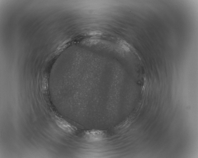 X0000078310517200611172218