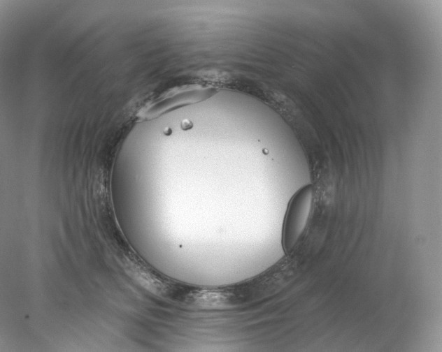 X0000078310518200611172218