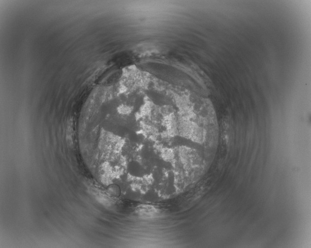 X0000078310519200611172218