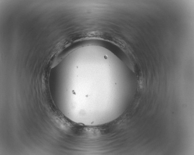 X0000078310520200611172218