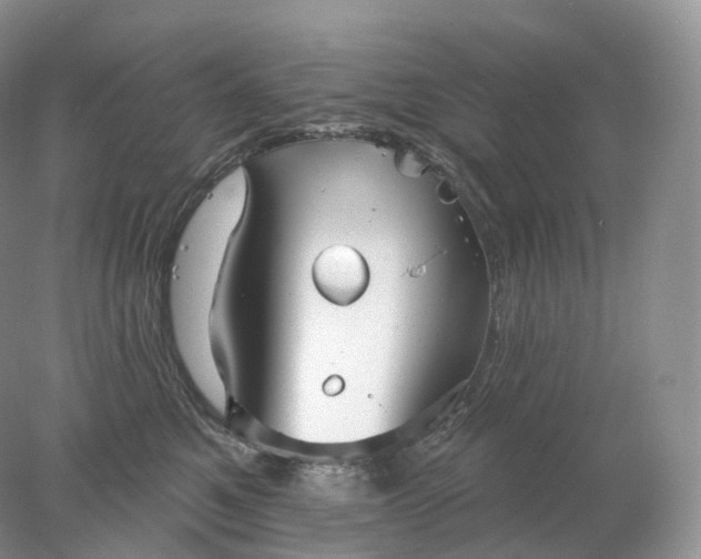 X0000078310521200611172218