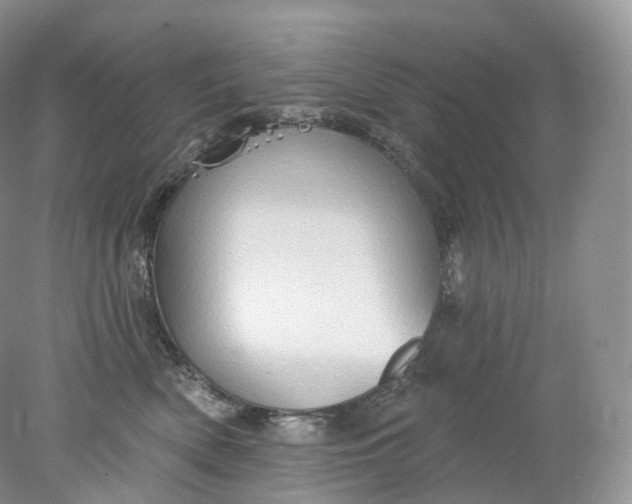 X0000078310522200611172218