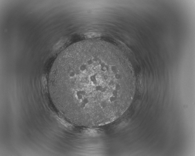 X0000078310523200611172218