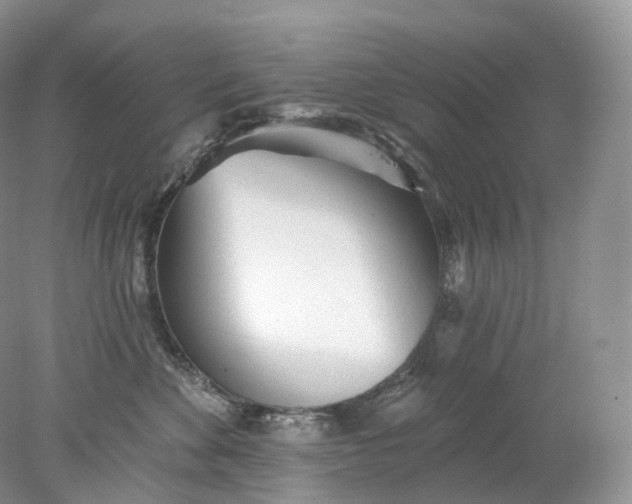 X0000078310524200611172218