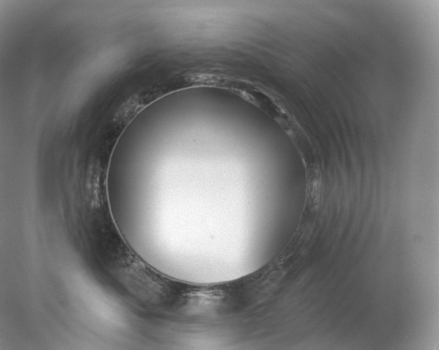 X0000078310525200611172218