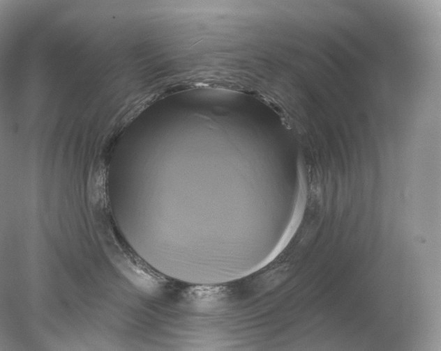 X0000078310526200611172218