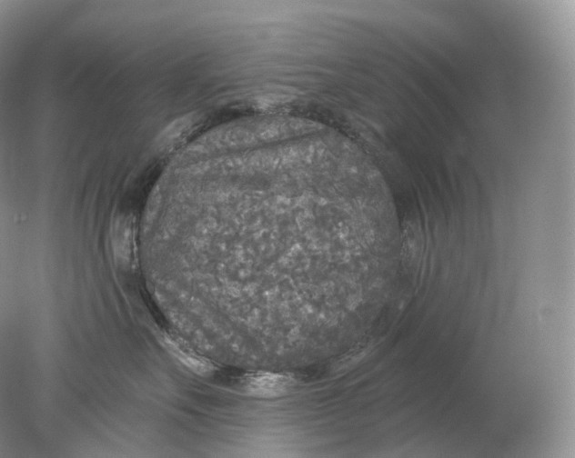 X0000078310527200611172218