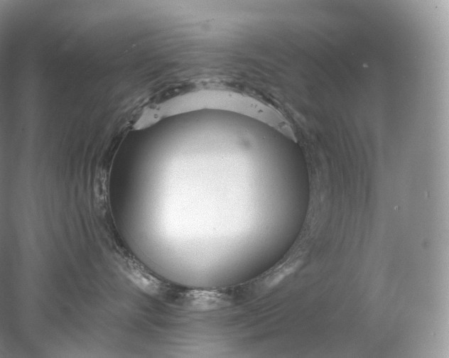 X0000078310528200611172218