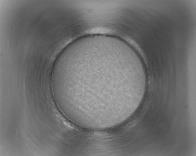 X0000078310529200611172217