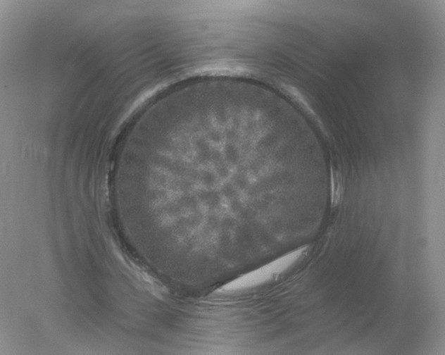 X0000078310531200611172217