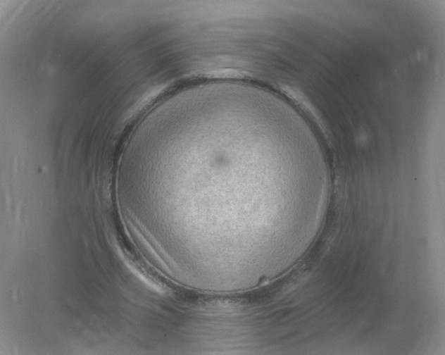 X0000078310533200611172217