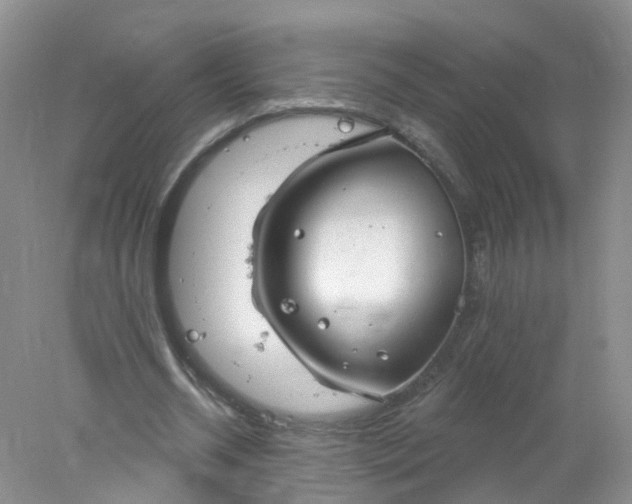 X0000078310534200611172217