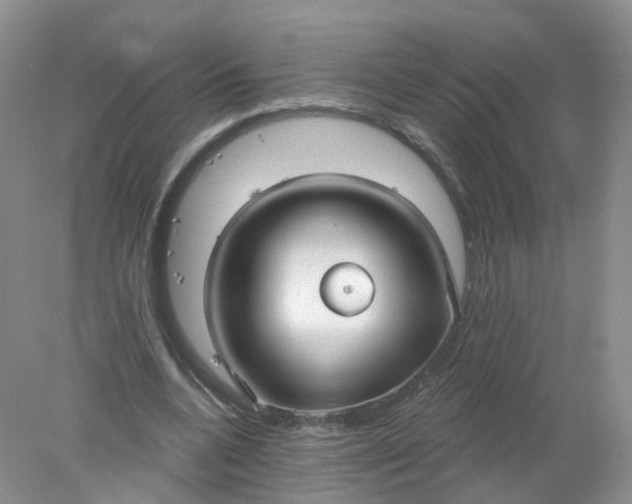 X0000078310536200611172217