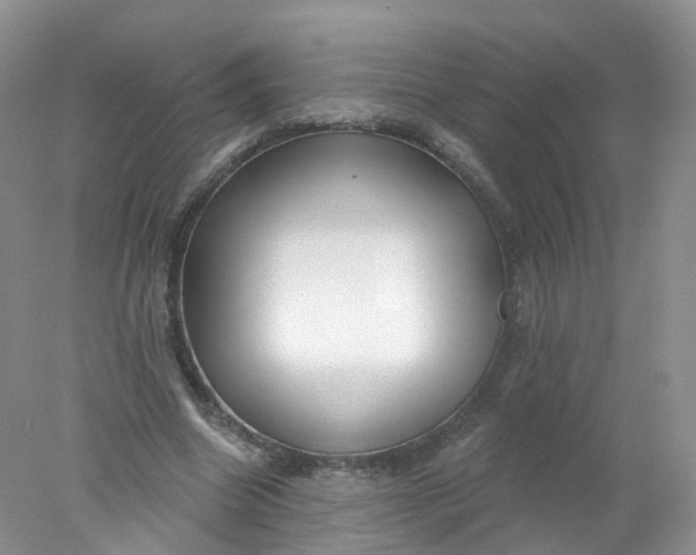 X0000078310538200611172217