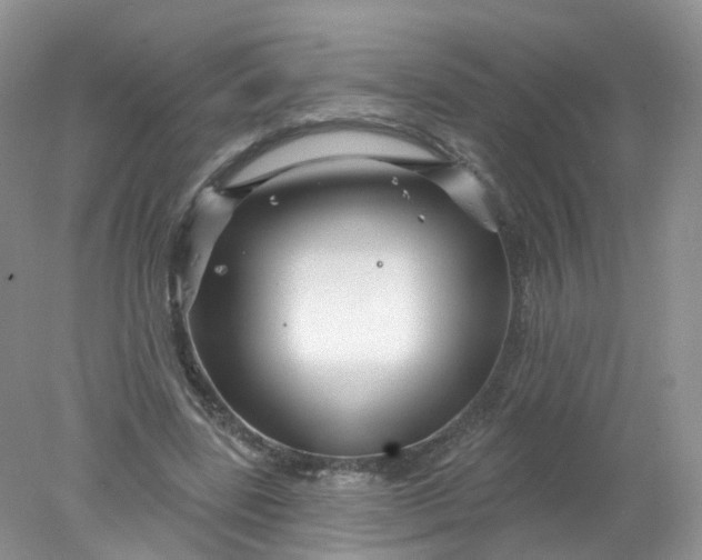 X0000078310539200611172217