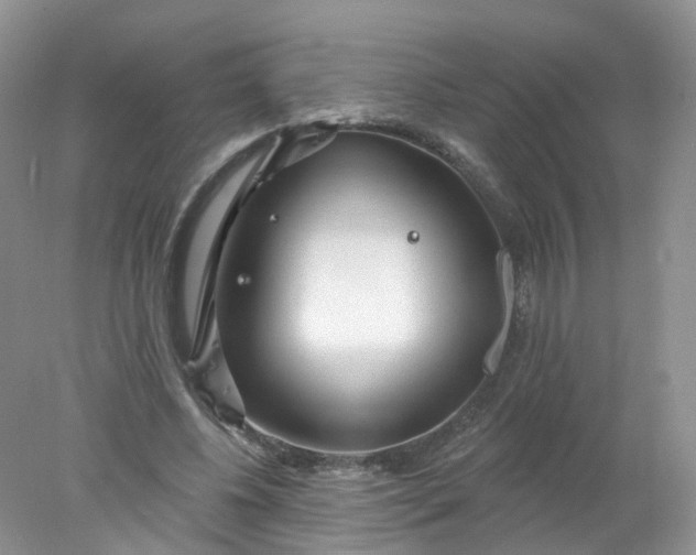 X0000078310540200611172217