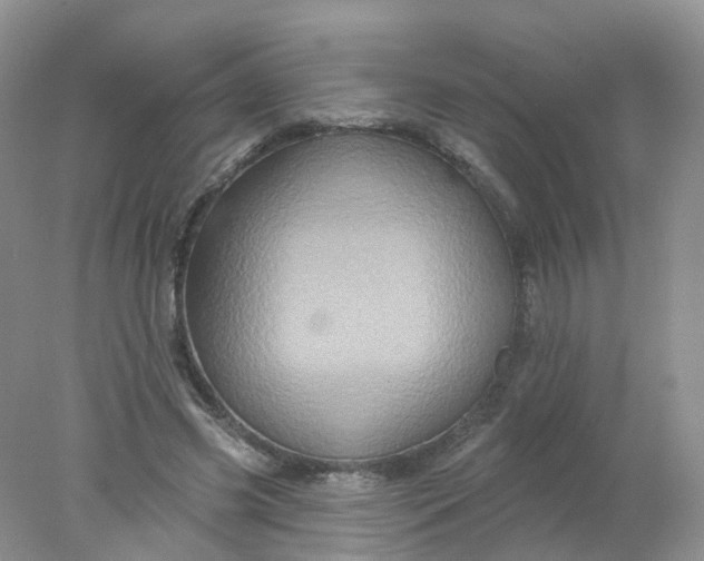 X0000078310541200611172217