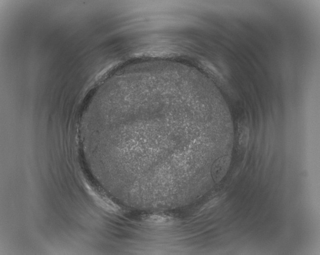 X0000078310542200611172217