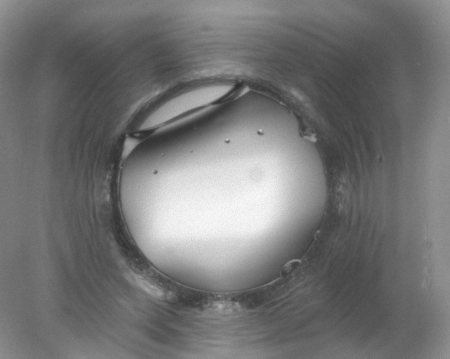 X0000078310543200611172217