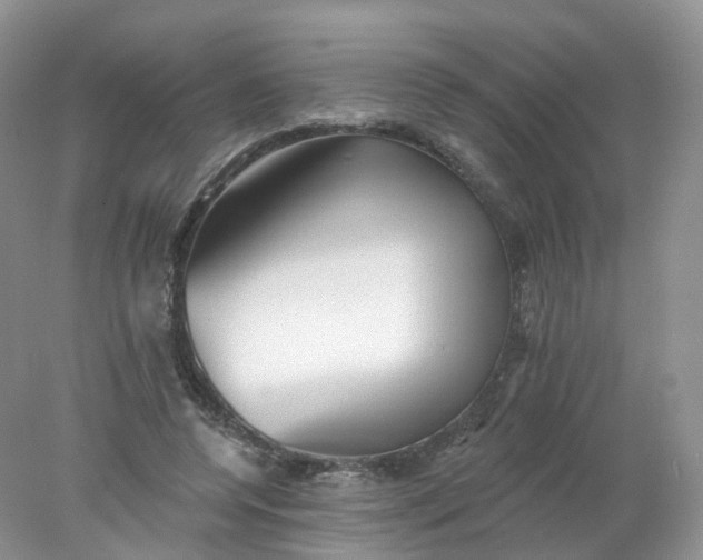 X0000078310544200611172217